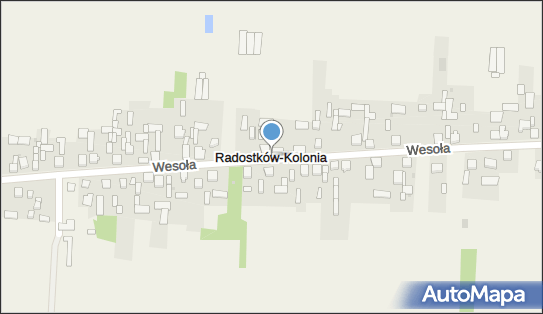 Gospodarstwo Rolne, Radostków 28, Radostków 42-233 - Przedsiębiorstwo, Firma, numer telefonu, NIP: 5731040459