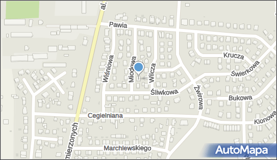 Gospodarstwo Rolne, Miodowa 2, Nidzica 13-100 - Przedsiębiorstwo, Firma, NIP: 7451371647