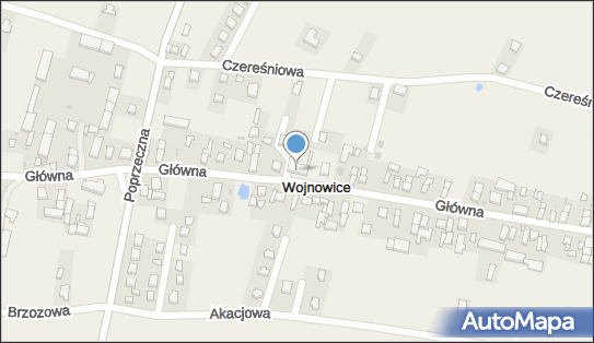 9121027741, Sprzedaż Detaliczna Art.Spożywczych i Przemysłowych Pacholik Irena 