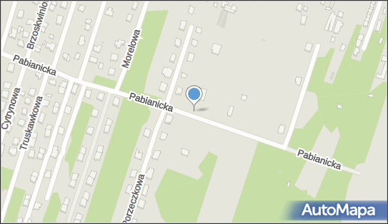Gospodarstwo Rolno Ogrodnicze Dariusz Lewandowski, Pabianicka 126 95-070 - Przedsiębiorstwo, Firma, NIP: 7271971469
