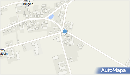 Gospodarstwo Rolno Ogrodnicze Henryk Dubicki, Stary Belęcin 35 64-120 - Przedsiębiorstwo, Firma, numer telefonu, NIP: 6961040825