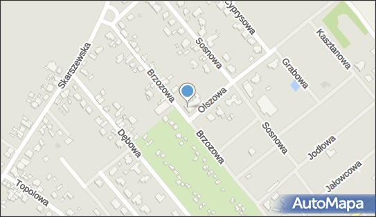 Gospodarstwo Rolno Ogrodnicze Jerzy Kotkowski, ul. Brzozowa 1 62-800 - Przedsiębiorstwo, Firma, NIP: 6181658509