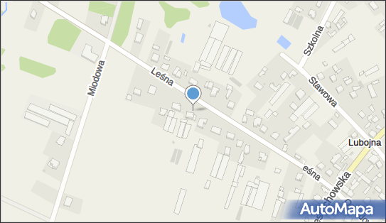 Gospodarstwo Rolno Ogrodnicze Joanna i Leszek Ociepka, Leśna 29 42-233 - Przedsiębiorstwo, Firma, NIP: 5731430798