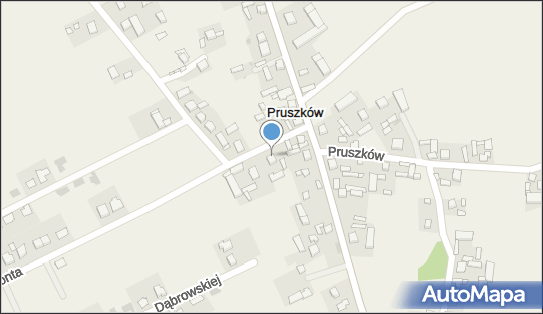 Gospodarstwo Rolno-Warzywne Zenon Świątek, Pruszków 19, Pruszków 62-800 - Przedsiębiorstwo, Firma, NIP: 9680710201