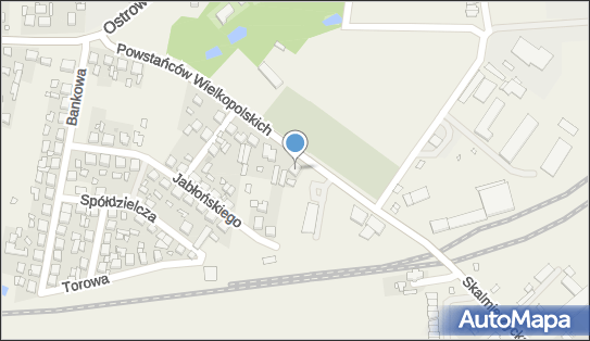 Gospodarstwo Specjalistyczne Irena Olszewska, Skalmierzyce 63-460 - Przedsiębiorstwo, Firma, NIP: 9680161817
