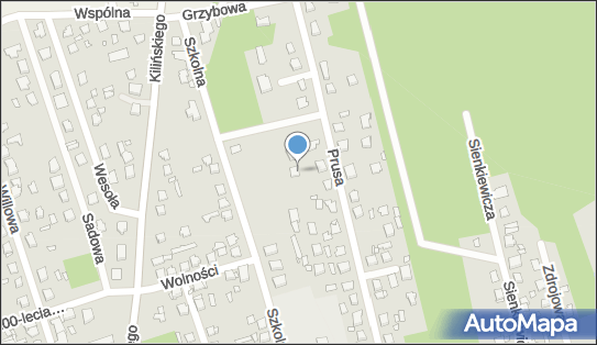 govirtual.pl, ul. Bolesława Prusa 43, Mrozy 05-320 - Przedsiębiorstwo, Firma, NIP: 8241279249