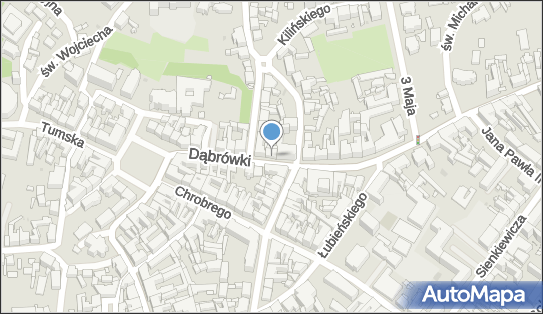 Grace, Dąbrówki 7, Gniezno 62-200 - Przedsiębiorstwo, Firma, numer telefonu, NIP: 7841447097