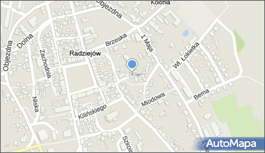 Gracja, Ojca Świętego Jana Pawła II 4, Radziejów 88-200 - Przedsiębiorstwo, Firma, NIP: 8891005232