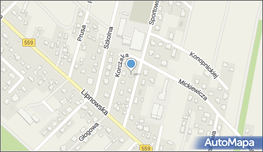 Grażyna Łabińska, ul. Sportowa 5, Maszewo Duże 09-400 - Przedsiębiorstwo, Firma, NIP: 7740007511