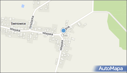 Grażyna Samol Trans Las Samol, Wiejska 30, Świniowice 42-690 - Przedsiębiorstwo, Firma, numer telefonu, NIP: 6452194388