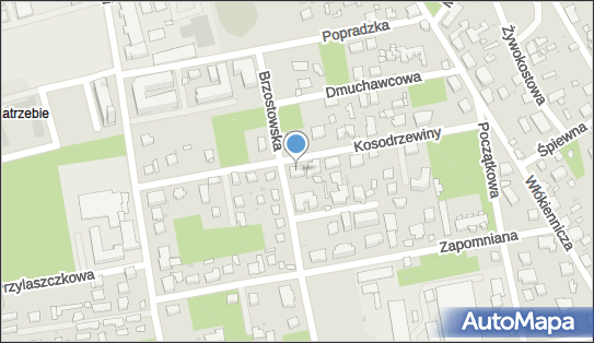 Grażyna Sokołowska El-So, Kosodrzewiny 14, Warszawa 04-979 - Przedsiębiorstwo, Firma, NIP: 9521145898