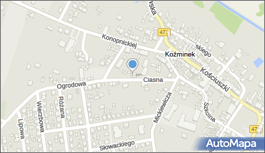 Grzegorek Paweł PG Consulting, Ciasna 5, Koźminek 62-840 - Przedsiębiorstwo, Firma, NIP: 9680435522