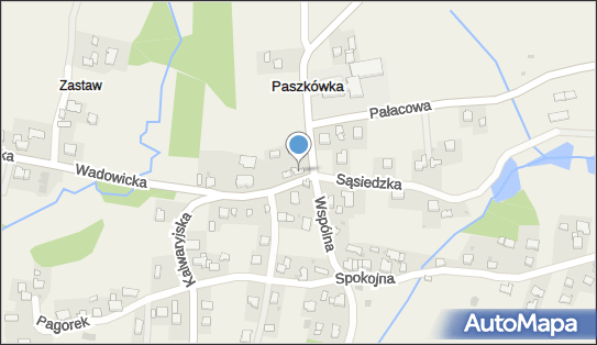 5511740195, Grzegorz Babski.Geb 