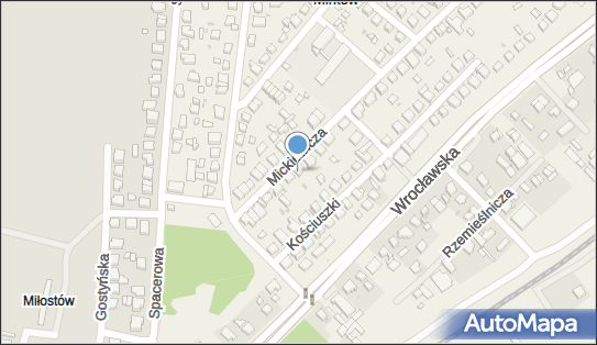 Grzegorz Budzowski Usługi Asenizacyjne, ul. Adama Mickiewicza 42 55-095 - Przedsiębiorstwo, Firma, NIP: 9111384899