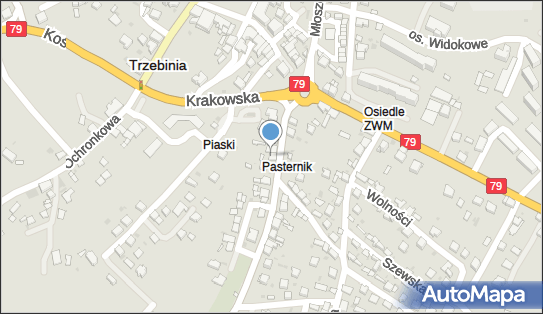 Grzegorz Curyło Autotest, ul. Juliusza Słowackiego 10, Trzebinia 32-540 - Przedsiębiorstwo, Firma, NIP: 6281024106