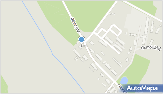 Grzegorz Dostatni Good Company, Głuszyna 127, Poznań 61-329 - Przedsiębiorstwo, Firma, NIP: 7821344632