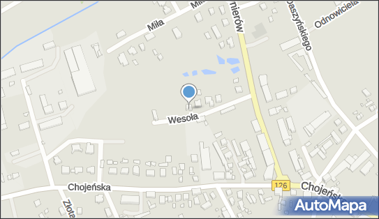Grzegorz Dubiecki Strzyżenie Owiec, ul. Wesoła 5, Dębno 74-400 - Przedsiębiorstwo, Firma, NIP: 5971532529