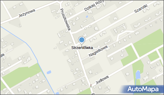 5262047442, Grzegorz Oracz 