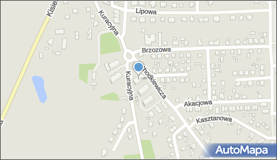 5811300017, Grzegorz Pawelec 