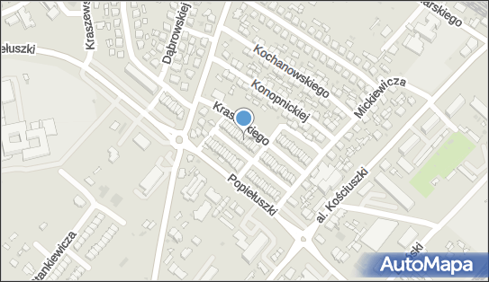 8252027830, Grzegorz Zarzycki Basset 