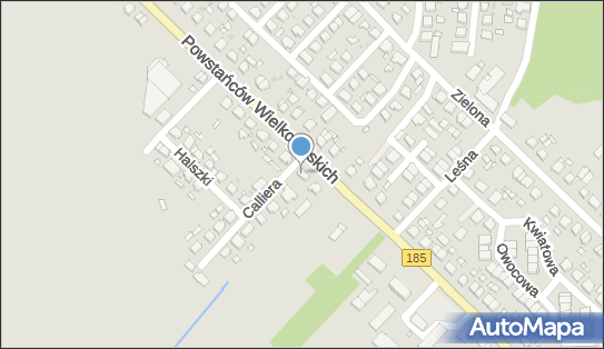 Grzesiak Michał Przedsiębiorstwo Transportowo Handlowe Eurosprint 64-500 - Przedsiębiorstwo, Firma, NIP: 7871960824