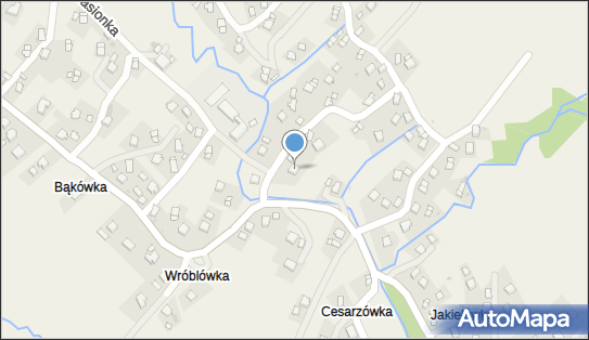 Gwint-STALTadeusz Szczurek, Jasionka 155, Jasionka 38-450 - Przedsiębiorstwo, Firma, NIP: 6841631713