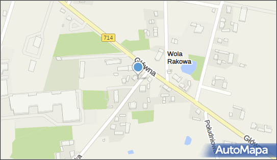 Halina Wróblewska, Tuszyńska 4, Wola Rakowa 95-006 - Przedsiębiorstwo, Firma, NIP: 7281036618