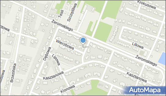 362410430, CareMed Rehabilitacja i Masaż Halina Żuchowicz 