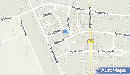 7631272800, Buchwald Halina 