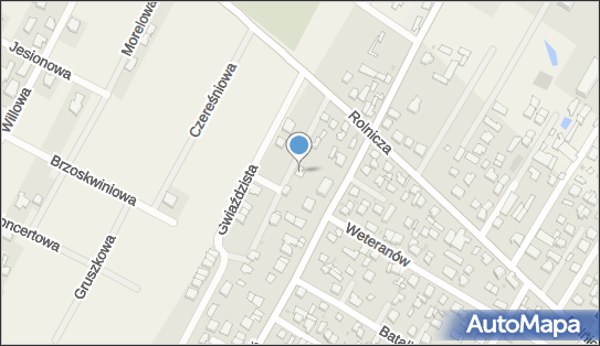 010048536, 
