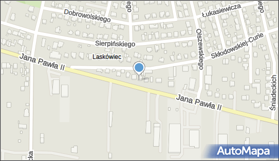 Handel Art Spożywczo Przemysłowymi Kwiaciarstwo, Jana Pawła II 73 62-510 - Przedsiębiorstwo, Firma, NIP: 6651104560