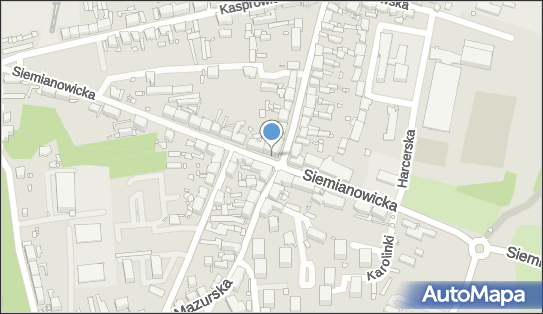 Handel Artyk Rolnospożywczymi, ul. Siemianowicka 55, Chorzów 41-500 - Przedsiębiorstwo, Firma, NIP: 6272234382