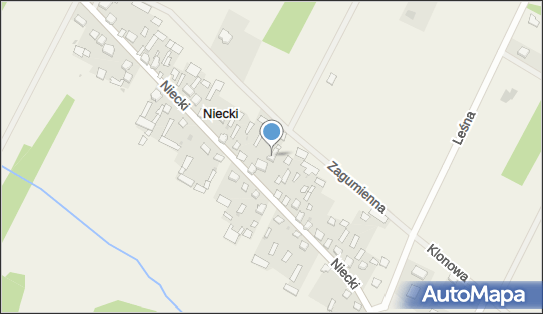 Handel Artykułami Przemysłowymi i Spożywczymi Niecki, Niecki 18-121 - Przedsiębiorstwo, Firma, NIP: 9660648373