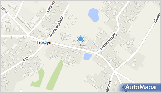 Handel Artykułami Przemysłowymi Spożywczymi, Troszyn 07-405 - Przedsiębiorstwo, Firma, NIP: 7582002459