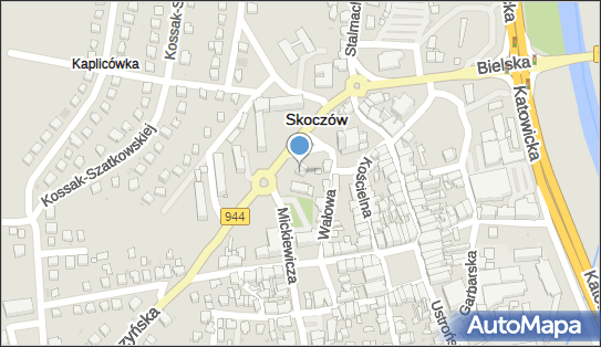 Handel Detaliczny i Usługi Marketingowe, ul. Mickiewicza N/N 43-430 - Przedsiębiorstwo, Firma, NIP: 5481014164