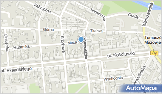 Handel Detaliczny Paweł Kostrzewa, Grunwaldzka 6 97-200 - Przedsiębiorstwo, Firma, NIP: 7321779019