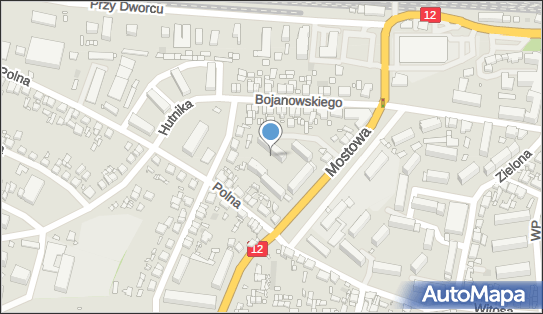 6960003029, Handel-Dystrybucja Elżbieta Szymczak, Gostyń 