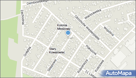 Handel Hurt Art Spoż Imp Exp Transport Towarowy, Sklepowa 31 97-500 - Przedsiębiorstwo, Firma, NIP: 7721141177