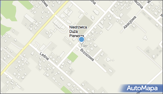 Handel Hurtowy i Detaliczny Barbara Hyz, Partyzancka 69 24-220 - Przedsiębiorstwo, Firma, NIP: 7131002210