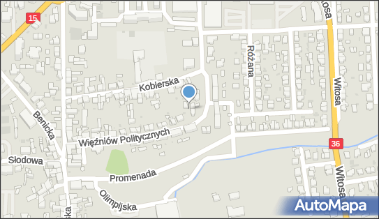 Handel i Usługi, Więźniów Politycznych 23b, Krotoszyn 63-700 - Przedsiębiorstwo, Firma, NIP: 6211076262