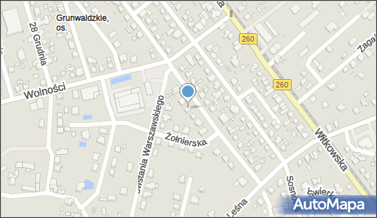 Handel i Usługi, ul. Armii Poznań 34, Gniezno 62-200 - Przedsiębiorstwo, Firma, NIP: 7841561255