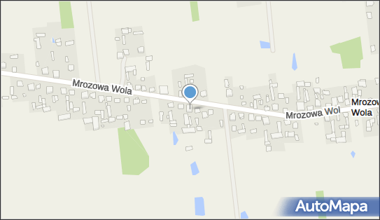 Handel Mięsem Maria Nowak, Mrozowa Wola 60, Mrozowa Wola 07-104 - Przedsiębiorstwo, Firma, NIP: 8241009024