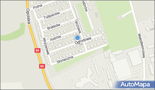 Handel Obwoźny Artykułów Spożywczych i Przemysłowych, Oława 55-200 - Przedsiębiorstwo, Firma, NIP: 9121648710