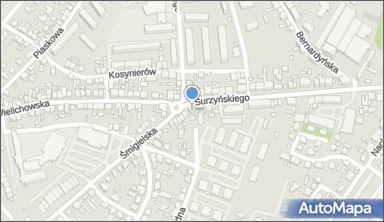 6981317046, Handel Obwoźny Zbigniew Mydlak, Kościan 