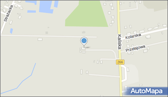 Handel Obwoźny Na Terenie Całego Kraju Anna Maria Purczyńska 88-230 - Przedsiębiorstwo, Firma, NIP: 8891070614