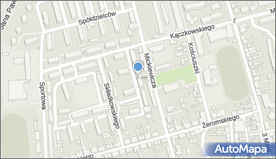 310259399, Handel Obwoźny Obuwiem i Art.Ogólnoprzemysłowymi Szczap Czesława 