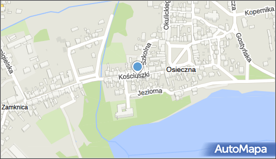 Handel Obwoźny Osieczna, ul. Tadeusza Kościuszki 9, Osieczna 64-113 - Przedsiębiorstwo, Firma, NIP: 6971941725