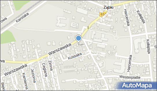 Handel Obwoźny Warzywa Owoce Art Przemysłowe, Warszawska 50 05-091 - Przedsiębiorstwo, Firma, NIP: 1130244072