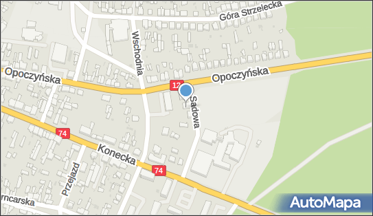 Handel Obwoźny, Sadowa 3, Sulejów 97-330 - Przedsiębiorstwo, Firma, NIP: 7711613025