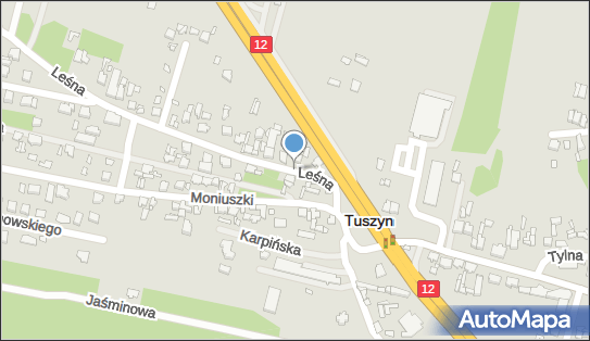 Handel Obwoźny, Leśna 2, Tuszyn 95-080 - Przedsiębiorstwo, Firma, NIP: 7711156504